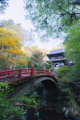 Fototapeta premium 雲巌寺の橋と山門を彩る紅葉