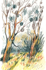 Illustration of Trees in a Field
