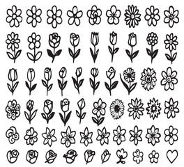 set of vector floral elements