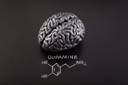 Human brain model with chemical formula of dopamine drawn with chalk on scholl blackboard.