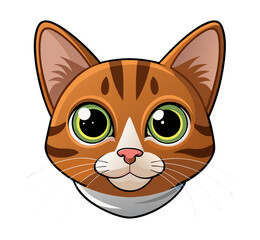 vector illustration of a cat