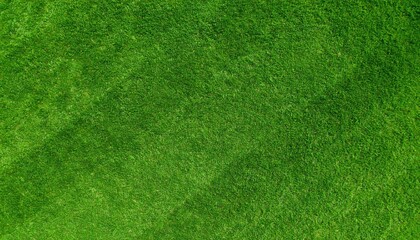 Fototapeta premium Green grass background, top view, close-up