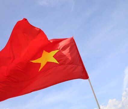 flag of Vietnam 