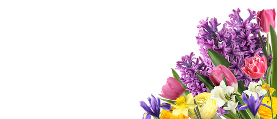 Obraz premium Bouquet of spring flowers on white background, banner design. Space for text