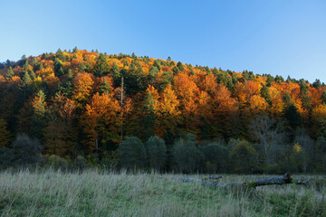 Landscape of former, abandoned village Nieznajowa in Beskid Low Mountains, Poland