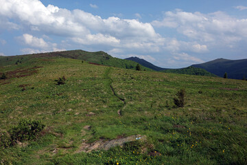 Landscape of Bukowe Berdo region in the Bieszczady Mountains, Poland © bayazed