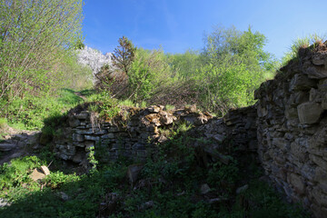 Ruins of the manor house in former, abandoned village Krywe in Bieszczady Mountains, Poland