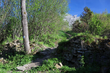 Ruins of the manor house in former, abandoned village Krywe in Bieszczady Mountains, Poland