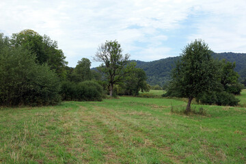 Landscape of former, abandoned village Tworylne in Bieszczady Mountains, Poland