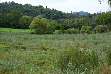 Ruins of old palace near the pond in former, abandoned village Tworylne in Bieszczady Mountains, Poland