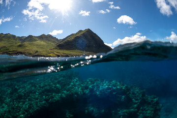 Split level view of coral reef and clear blue ocean on the Waianae Coast, Oahu, Hawaii, showing underwater marine life and coastal mountains above the surface.