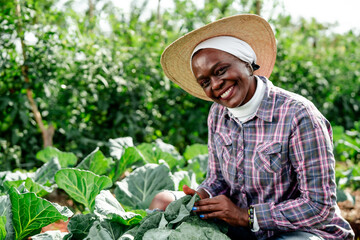 Fototapeta premium Smiling senior African woman farmer working in an organic vegetable garden, wearing a straw hat and plaid shirt.