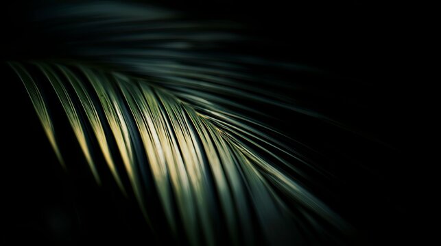Closeup of palm leaf with soft lighting on dark background for Palm Sunday  