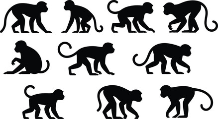 Monkey silhouette pose collection featuring walking sitting and crawling primates for wildlife icons logos illustrations vector set design © LatifunNahar