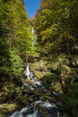 Obraz premium 日本 岡山県真庭市にある神庭の滝自然公園内の紅葉と神庭の滝