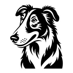 Borzoi Dog