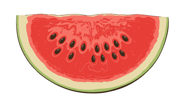 Realistic vector illustration of a fresh watermelon slice with seeds isolated on white background. Healthy organic fruit and summer snack concept.