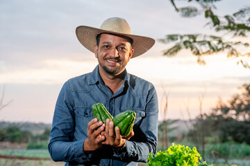 Happy male farmer in a straw hat holding fresh chayote vegetables in a rural field at sunset