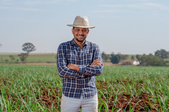 Smiling male farmer standing with arms crossed in a green agricultural field under a clear sky