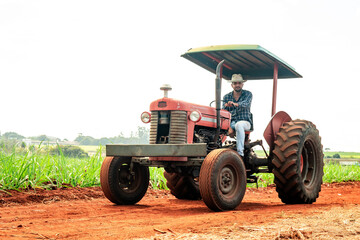 Obraz premium Farmer driving a red vintage tractor on a dirt road through a rural plantation field