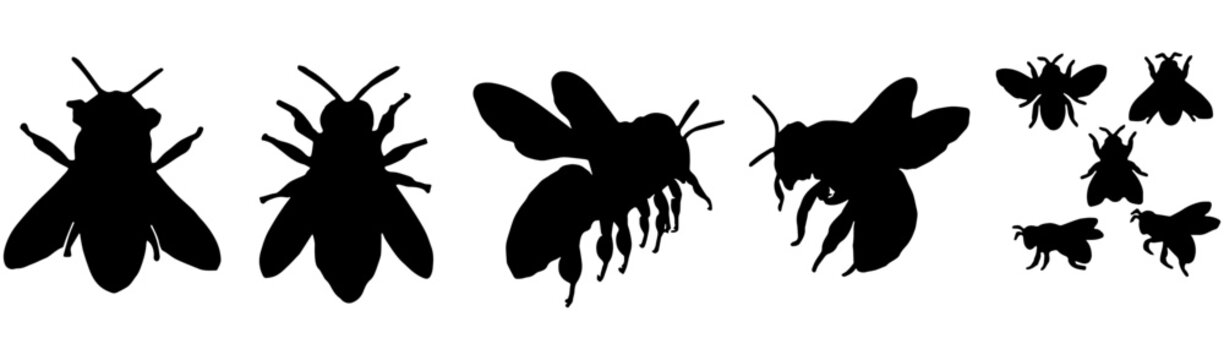 bee silhouette illustration vector design set