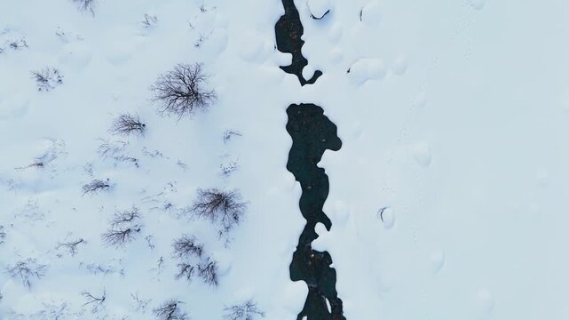 Abstract Winter Landscape with Flowing Water and Sparse Trees, Aerial Tracking Shot Following a Winding Creek in Himalayan Winter, High Altitude Stream with Animal Footprints Visible in Snow,