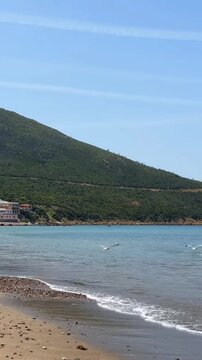 ​Cinematic 4K Vertical shot of Seagulls flying over Dalia beach with crystal blue water in Tangier Morocco