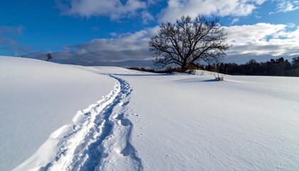 A snow-covered field with a trail of footprints leading towards a bare tree against a blue sky with fluffy clouds