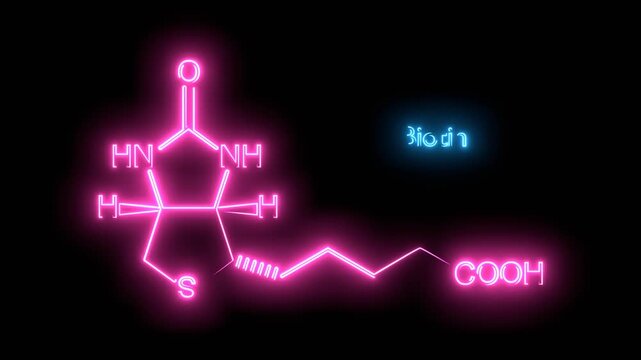 Biotin is a vitamin B7. It is a coenzyme for carboxylase enzymes, involved in the synthesis of fatty acids, isoleucine, and valine, and in gluconeogenesis. Skeletal formula. Neon glowing.