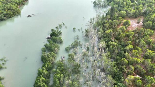 Shallow river winding through mangrove trees with a wrecked fishing boat visible from above, symbolizing rural coastal life and nature interaction