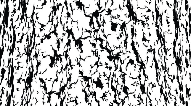 Sitka spruce bark texture, detailed pattern for abstract and background use