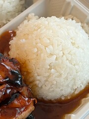 Seattle style chicken teriyaki