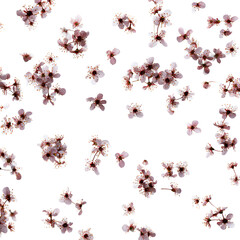 beautiful small flowers