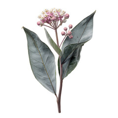 a beautiful flower with leaves