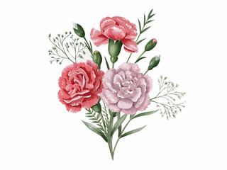 Watercolor illustration of a delicate bouquet featuring pink and mauve carnations © Uttam