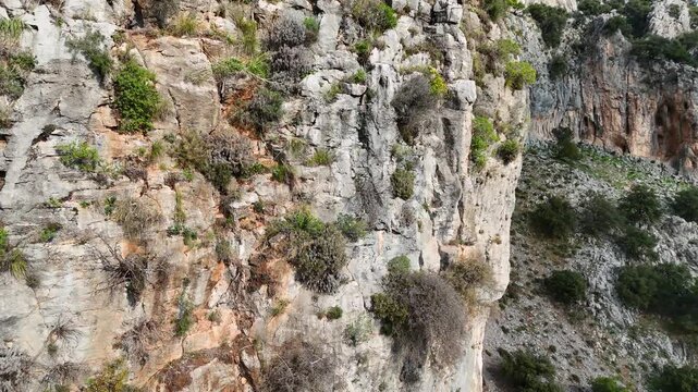 Detailed close-up aerial drone video of a highly textured rugged rock surface on a steep mountain cliff. Sparse green plants grow from the cracks in this wild geological formation.