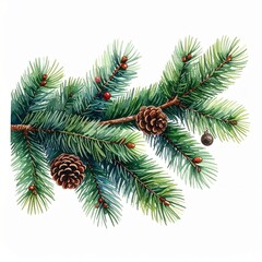Watercolor illustration of a pine branch with cones, perfect for winter and holiday designs.