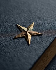 Book with star icon, representing featured, premium, or top-priority content