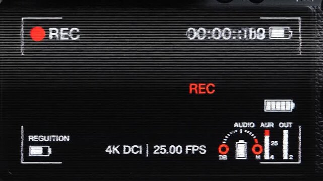 A digital camera display with recording indicators, time, battery, resolution, and audio levels