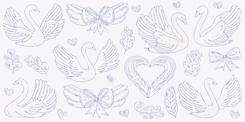 Delicate sketches of swans hearts bows and foliage in light blue tones © AnupKumar