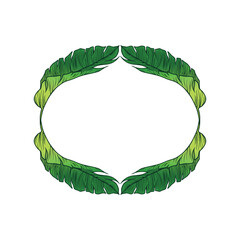 Tropical background with banana leaves and eucalyptus.Vector illustration
