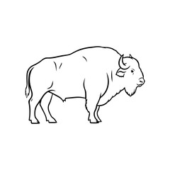 Obraz premium Simple line drawing of a bison standing profile, outdoors, vector illustration