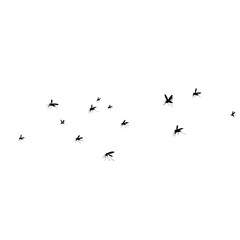 Fototapeta premium Flying mosquito vector