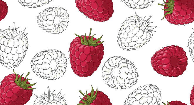 Vibrant seamless pattern featuring a mix of colored and monochrome hand-drawn raspberries for a modern and fresh fruit-themed design.