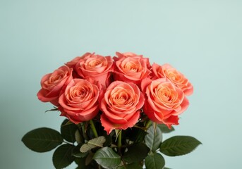 Fototapeta premium A bouquet of coral colored roses on a light blue background with green leaves