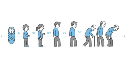 Human life cycle stages from birth to old age illustration.