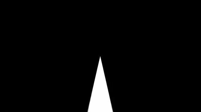 Simple white triangle shape on black background.