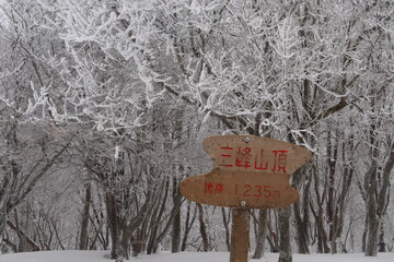 三峰山の霧氷