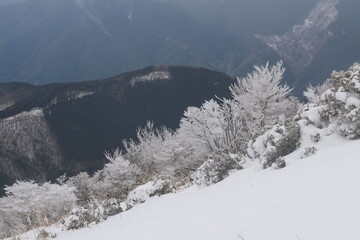 三峰山の霧氷