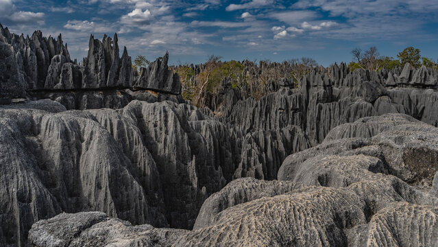 Stunning rocky landscape. Black karst rocks with steep, furrowed slopes and sharp peaks. Blue sky, clouds. Madagascar.  Tsingy De Bemaraha 